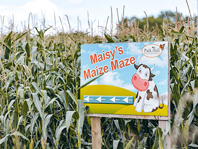 Maisy’s Maize Maze