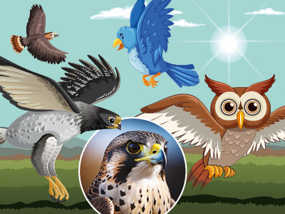 Birdie Week