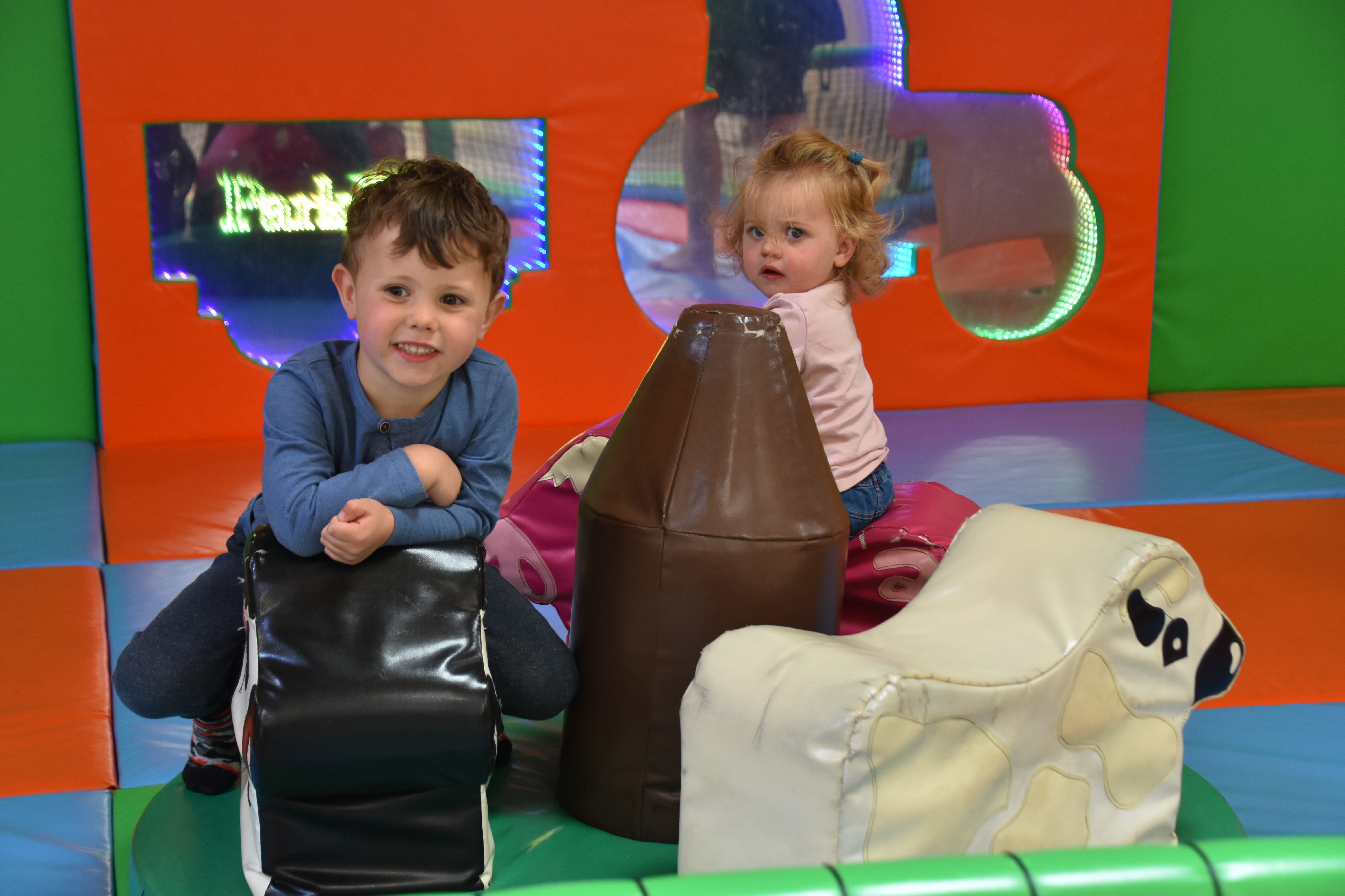 Sensory Area