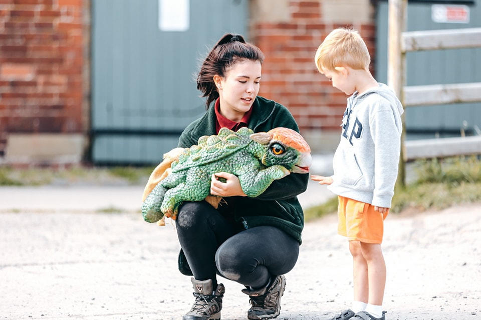 Meeting a baby dinosaur