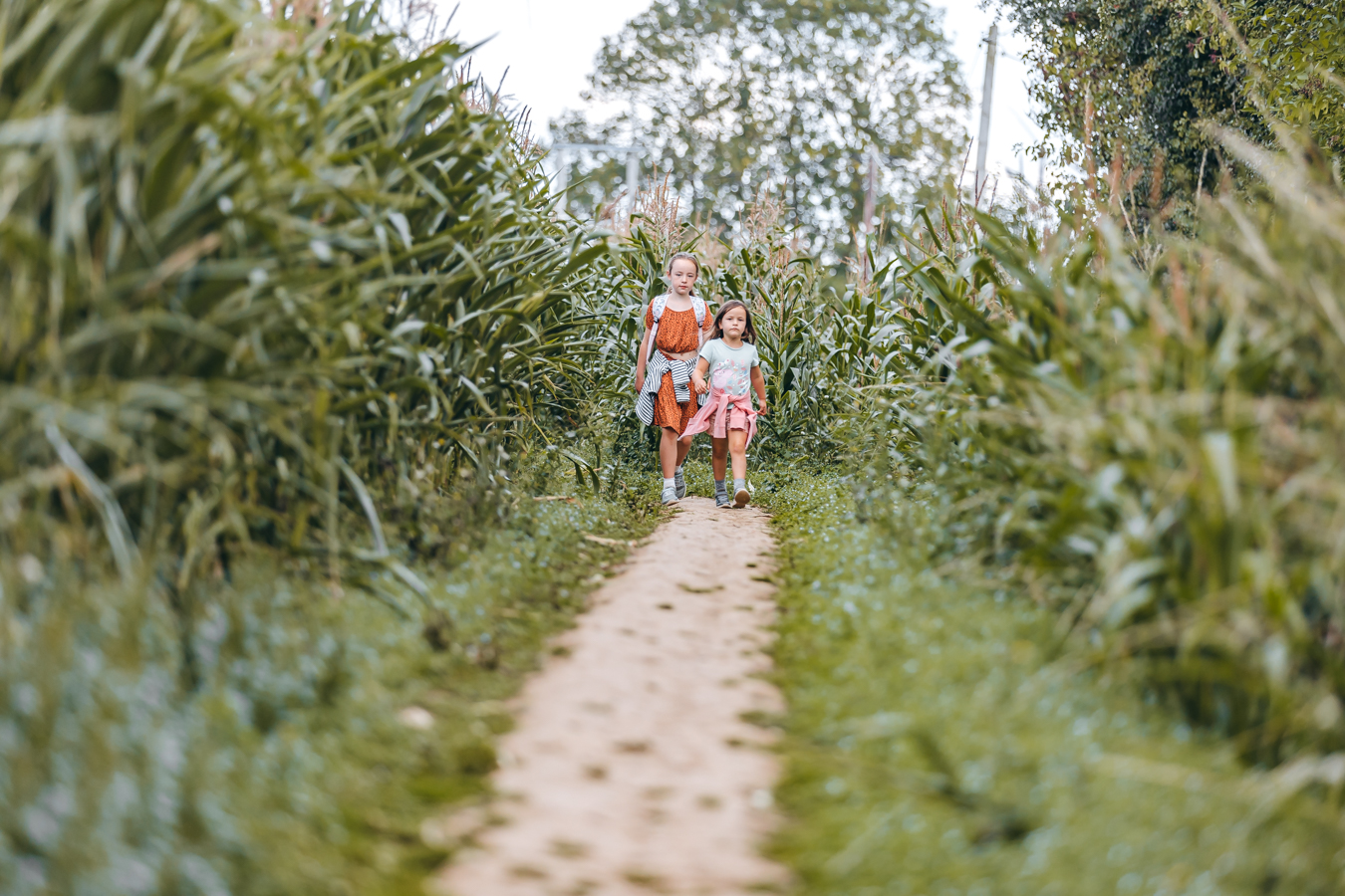 Children in the maze