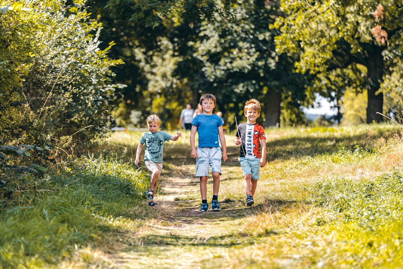 Summer at Park Hall