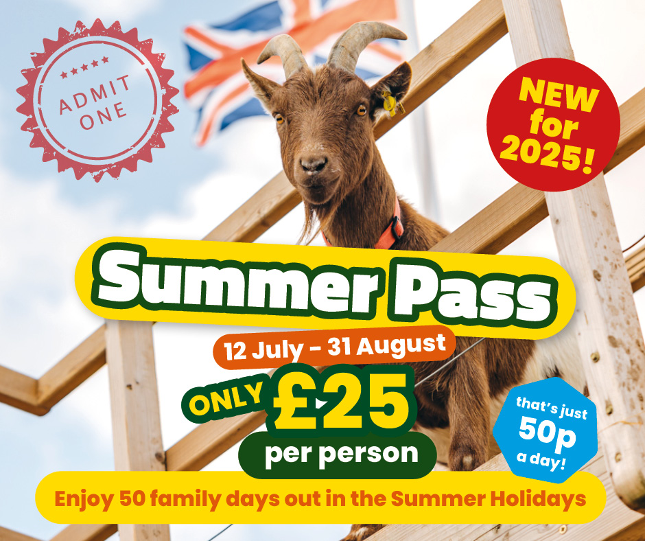 Summer Pass